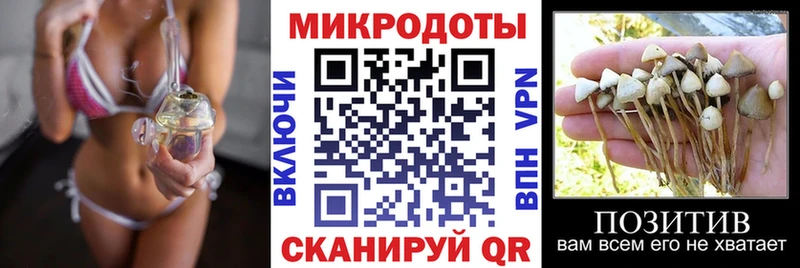 Купить где Городище Псилоцибиновые грибы MAGIC MUSHROOMS